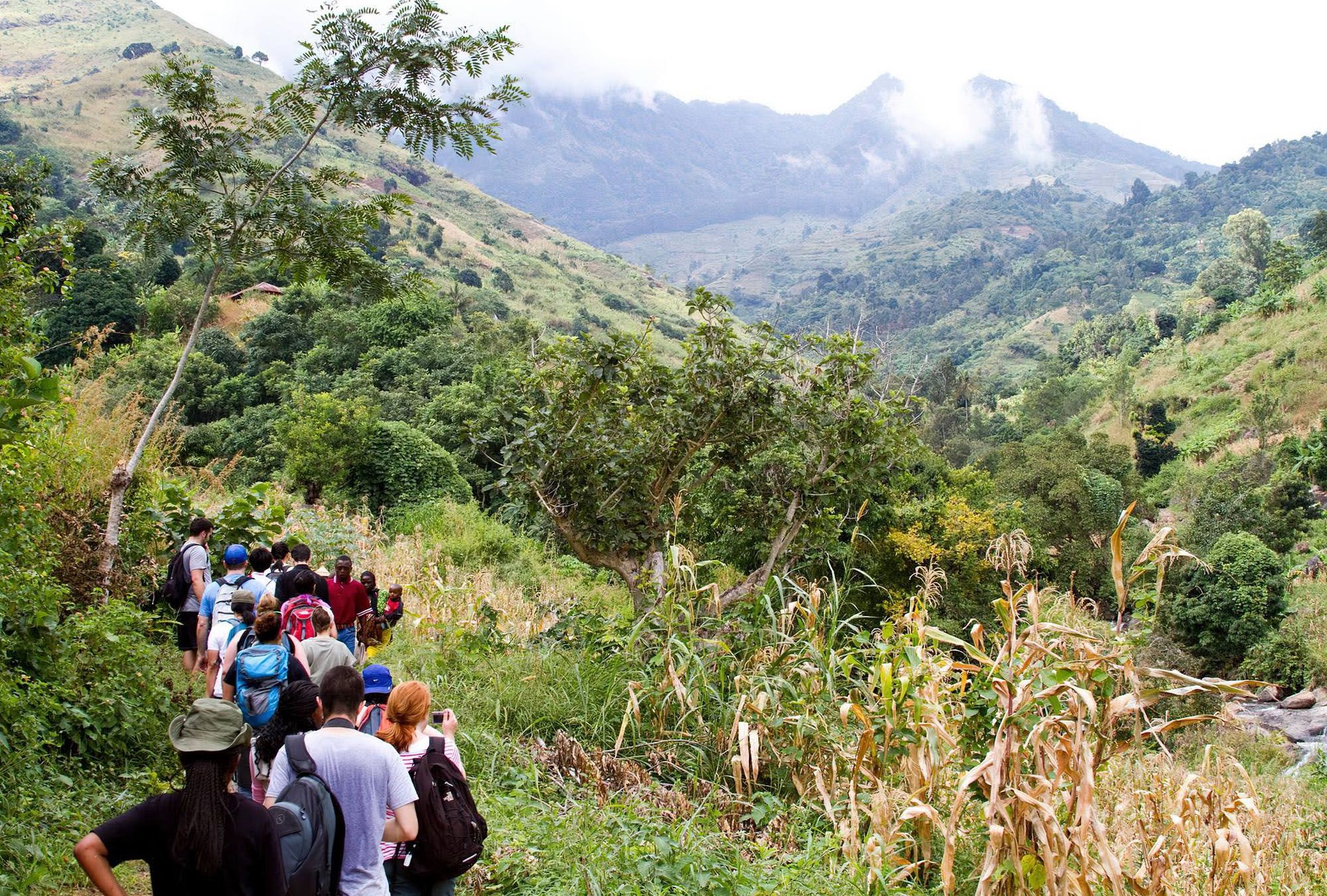 Виды на горы Улугуру